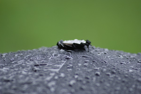 Umbrella Top